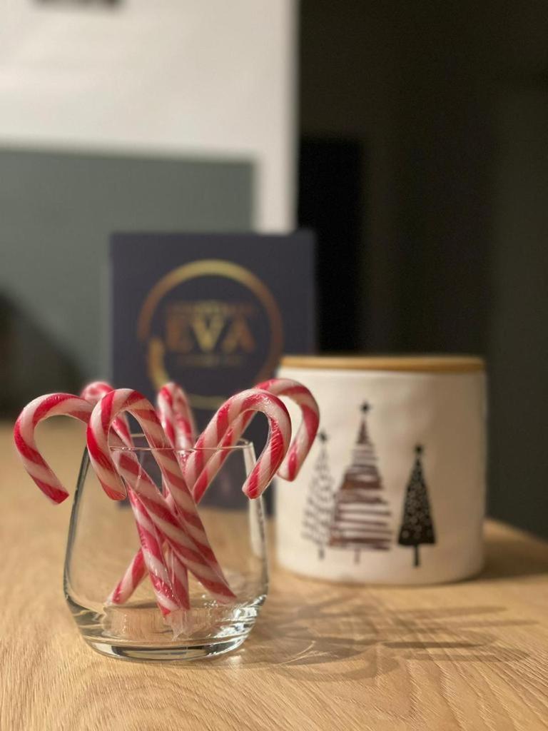 Apartman Eva, Moderan Stan U Srcu Zagorja Krapina Buitenkant foto